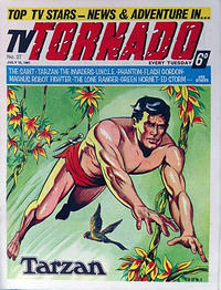 Cover Thumbnail for TV Tornado (City Magazines, 1967 series) #27