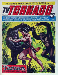 Cover Thumbnail for TV Tornado (City Magazines, 1967 series) #21