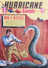 Cover for Hurricane Comic (Offset Printing Co., 1946 series) #13