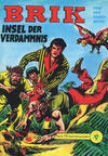 Cover for Brik (Norbert Hethke Verlag, 2003 series) #15