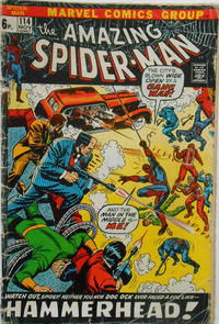 Cover Thumbnail for The Amazing Spider-Man (Marvel, 1963 series) #114 [British]