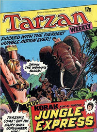 Cover Thumbnail for Tarzan Weekly (Byblos Productions, 1977 series) #[11]