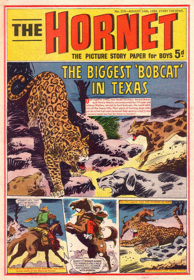 Cover for The Hornet (D.C. Thomson, 1963 series) #259