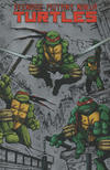 Cover Thumbnail for Teenage Mutant Ninja Turtles (2013 series) #1 [Metal Variant Cover]
