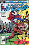 Cover for The Amazing Spider-Man (Marvel, 1963 series) #221 [Direct]