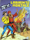 Cover for Tex [Tex Gigante - II Serie] (Sergio Bonelli Editore, 1958 series) #314