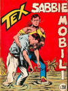 Cover for Tex [Tex Gigante - II Serie] (Sergio Bonelli Editore, 1958 series) #38