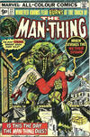 Cover for Man-Thing (Marvel, 1974 series) #22 [British]