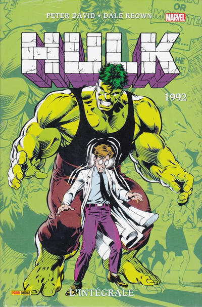 Cover for Hulk : L'intégrale (Panini France, 2003 series) #1992