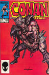 Cover Thumbnail for Conan the Barbarian (1970 series) #163 [Direct]