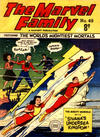 Cover for The Marvel Family (Cleland, 1948 series) #49
