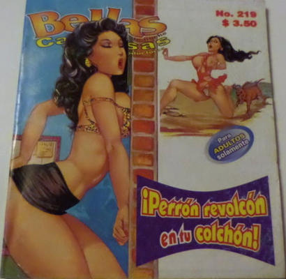 Cover for Bellas de Noche (Editorial Toukan, 1995 series) #219