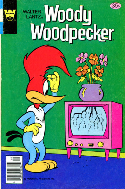Cover for Walter Lantz Woody Woodpecker (Western, 1962 series) #170 [Whitman]