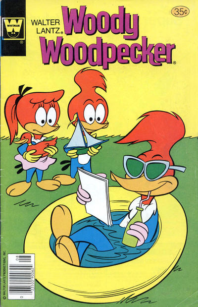 Cover for Walter Lantz Woody Woodpecker (Western, 1962 series) #169 [Whitman]