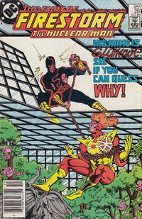Cover for The Fury of Firestorm (DC, 1982 series) #28 [Canadian]