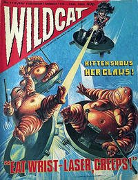 Cover for Wildcat (Fleetway Publications, 1988 series) #11