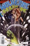 Cover for Wolverine / Hulk (Marvel, 2002 series) #2