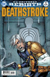 Cover for Deathstroke (DC, 2016 series) #14 [Shane Davis / Michelle Delecki Cover]