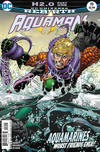 Cover Thumbnail for Aquaman (2016 series) #19 [Brad Walker / Andrew Hennessy Cover]
