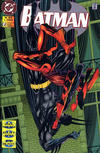 Cover for Batman (Play Press, 1995 series) #25
