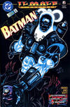 Cover for Batman (Play Press, 1995 series) #31