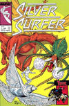Cover for Silver Surfer (Play Press, 1989 series) #8