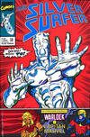 Cover for Silver Surfer (Play Press, 1989 series) #36