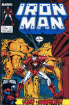 Cover for Iron Man (Play Press, 1989 series) #13