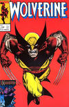 Cover for Wolverine (Play Press, 1989 series) #17