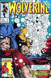 Cover for Wolverine (Play Press, 1989 series) #19