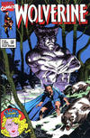 Cover for Wolverine (Play Press, 1989 series) #25