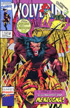 Cover for Wolverine (Play Press, 1989 series) #44/45