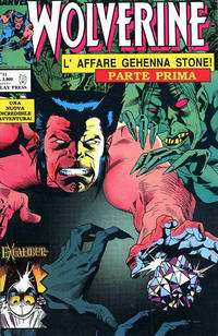 Cover Thumbnail for Wolverine (Play Press, 1989 series) #11