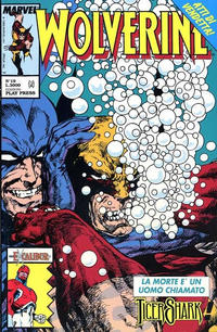 Cover Thumbnail for Wolverine (Play Press, 1989 series) #19