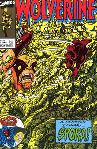 Cover Thumbnail for Wolverine (Play Press, 1989 series) #22