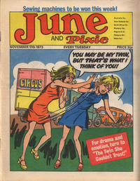 Cover Thumbnail for June and Pixie (IPC, 1973 series) #17 November 1973