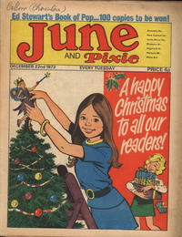 Cover Thumbnail for June and Pixie (IPC, 1973 series) #22 December 1973