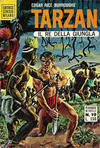 Cover for Tarzan (Editrice Cenisio, 1968 series) #19