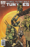 Cover for Teenage Mutant Ninja Turtles (IDW, 2011 series) #3 [Newsstand]