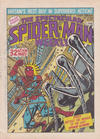 Cover for The Spectacular Spider-Man Weekly (Marvel UK, 1979 series) #347
