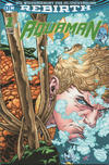 Cover Thumbnail for Aquaman (2017 series) #1 [Variant-Cover-Edition]