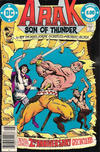Cover Thumbnail for Arak / Son of Thunder (1981 series) #24 [Newsstand]