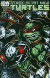 Cover Thumbnail for Teenage Mutant Ninja Turtles (2011 series) #48 [Cover B - Kevin Eastman]