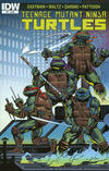 Cover Thumbnail for Teenage Mutant Ninja Turtles (2011 series) #51