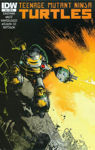 Cover for Teenage Mutant Ninja Turtles (IDW, 2011 series) #45 [Cover RI - Zach Howard]