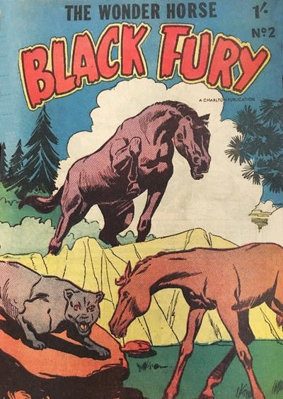 Cover for Black Fury (Cleland, 1955 ? series) #2
