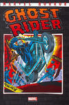 Cover for Marvel Horror (Panini Deutschland, 2003 series) #[14] - Ghost Rider 2