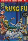 Cover for The Deadly Hands of Kung Fu (Newton Comics, 1975 series) #2
