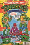 Cover for Teenage Mutant Hero Turtles Adventures (Fleetway Publications, 1990 series) #39