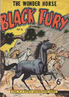Cover for Black Fury (World Distributors, 1955 series) #5